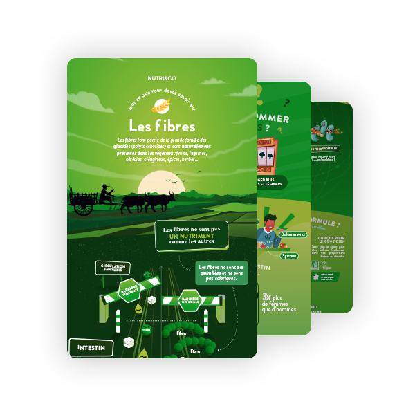 Infographie Fibres Bio