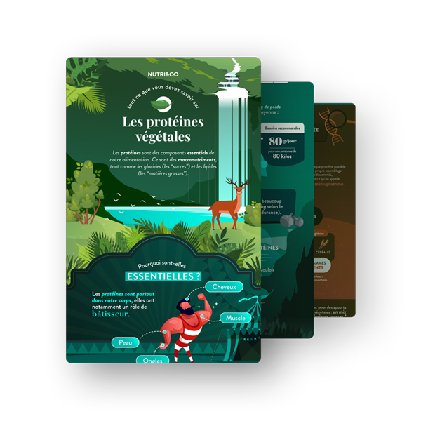 Infographie Protéine Végétale