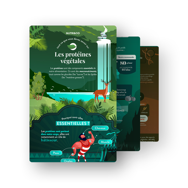 Infographie Protéine Végétale