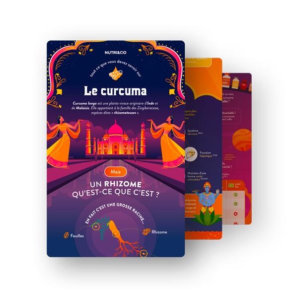 Infographie Curcuma Bio