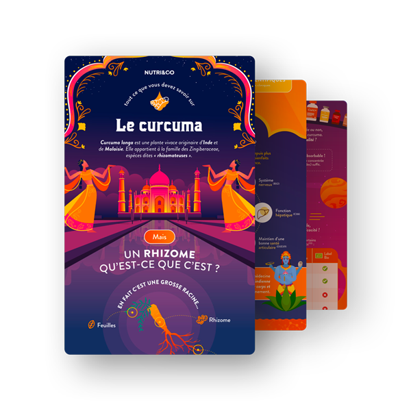 Infographie Curcuma Bio