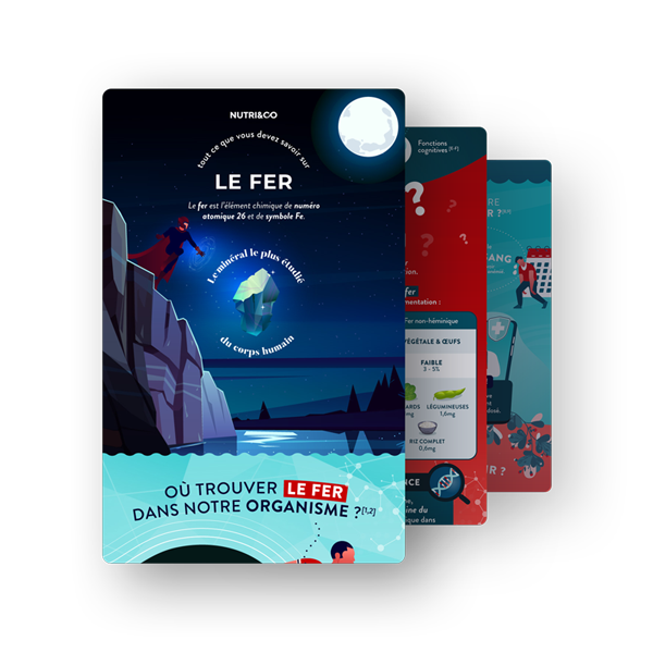 Infographie Fer Bisglycinate et sa Souche Lactique