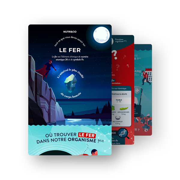 Infographie Fer Bisglycinate et sa Souche Lactique