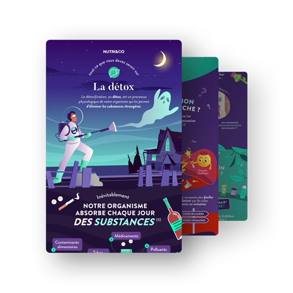 Infographie Chardon-Marie Bio