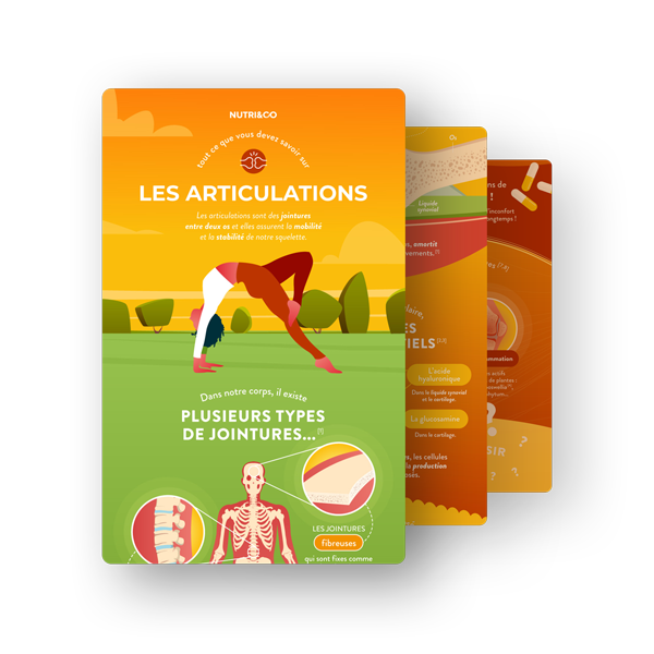 Infographie Articulations