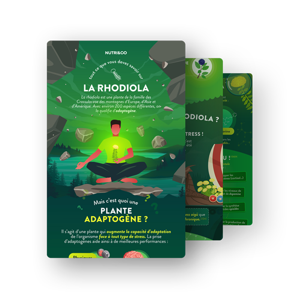 Infographie Rhodiola Bio