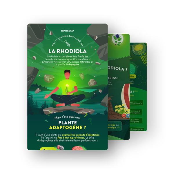 Infographie Rhodiola Bio