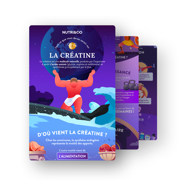 Infographie Créatine