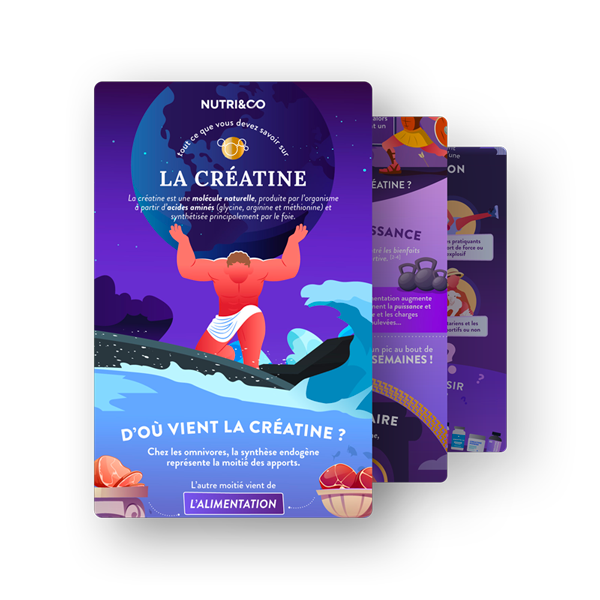 Infographie Créatine