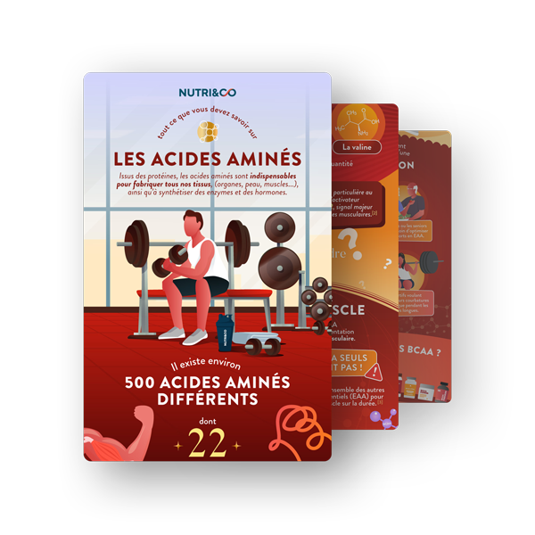 Infographie BCAA 4.1.1