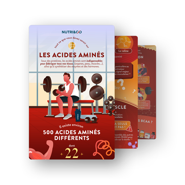 Infographie BCAA 4.1.1