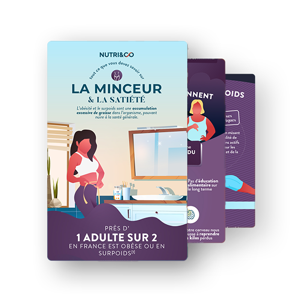 Infographie Formule satiété