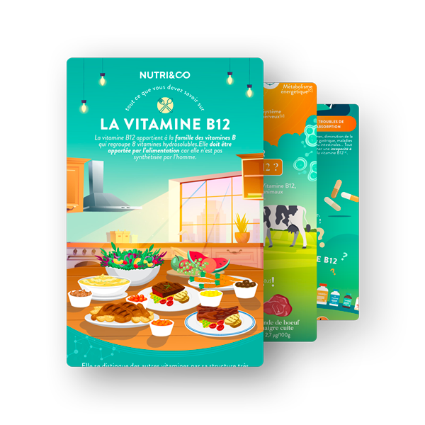 Infographie Vitamine B12