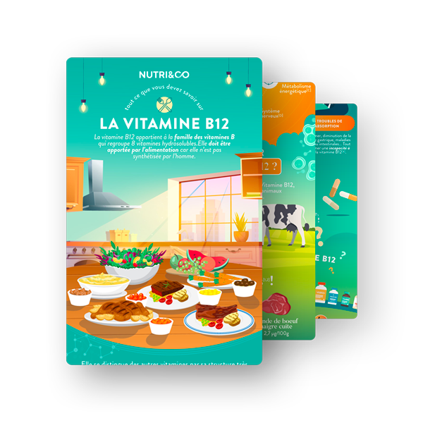 Infographie Vitamine B12