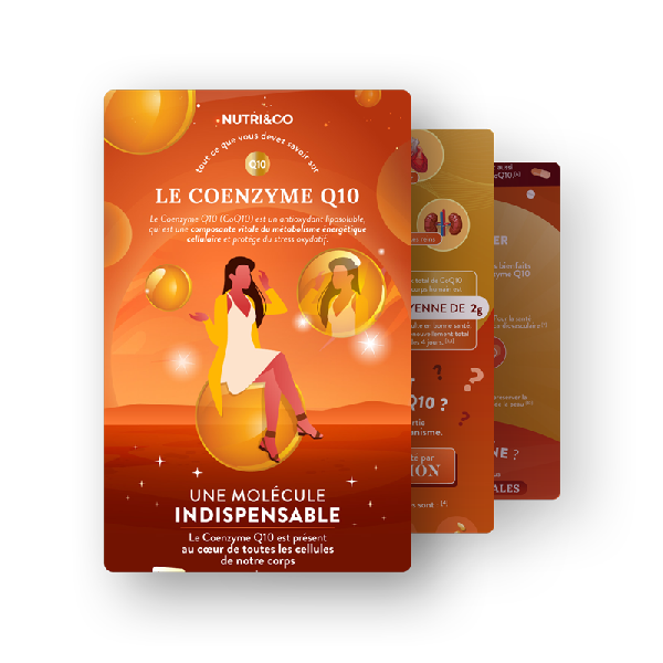 Infographie Coenzyme Q10