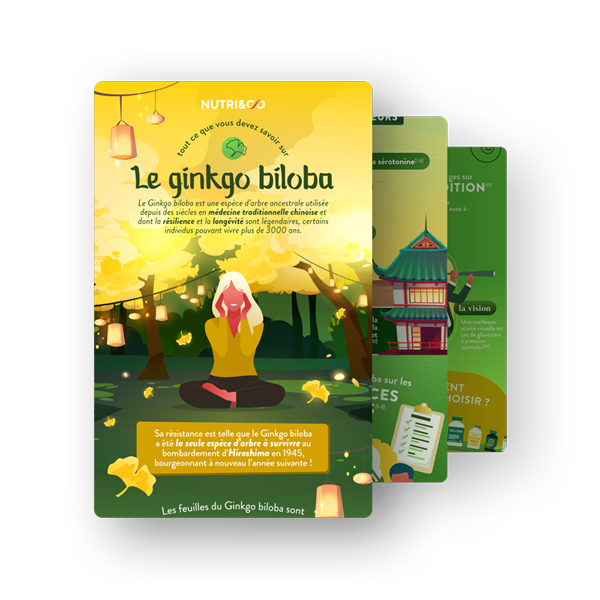 Infographie Ginkgo Biloba