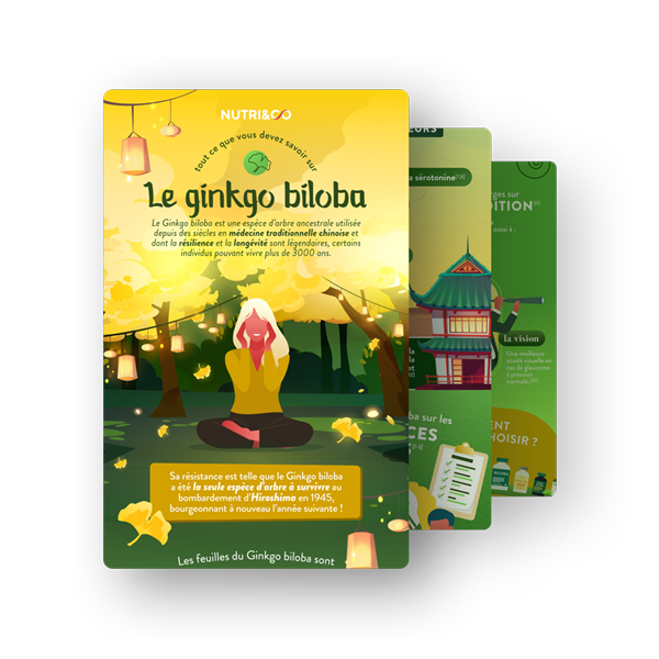 Infographie Ginkgo Biloba