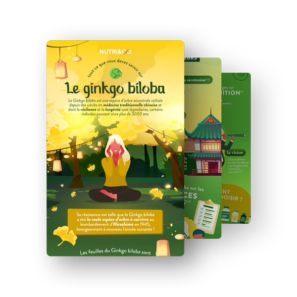 Infographie Ginkgo Biloba