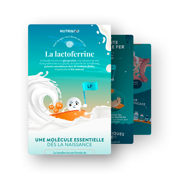 Infographie Lactoferrine
