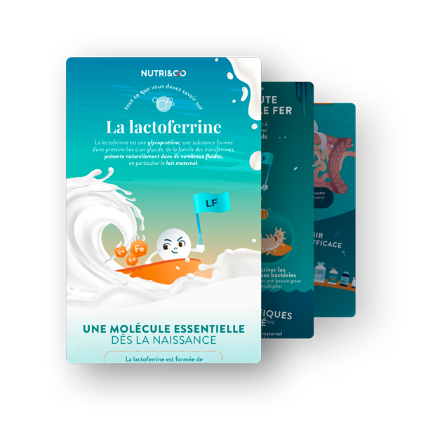 Infographie Lactoferrine