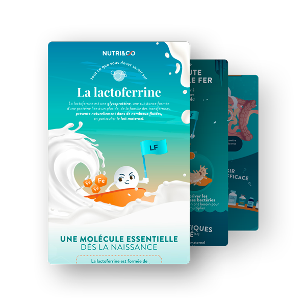 Infographie Lactoferrine