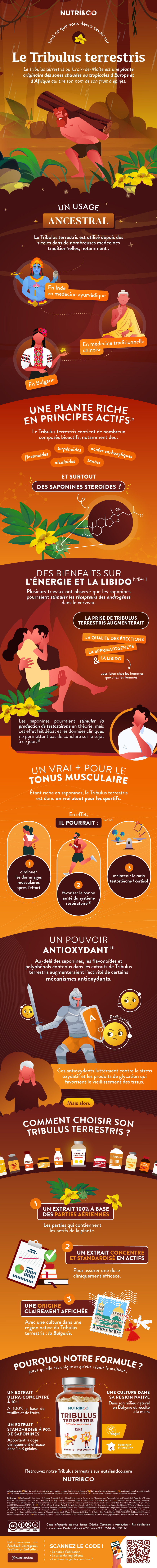 Tout ce que vous devez savoir sur Tribulus terrestris