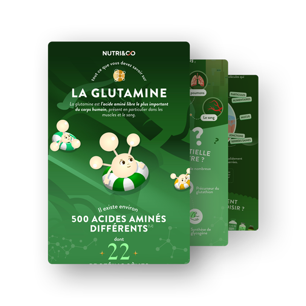Infographie L-Glutamine