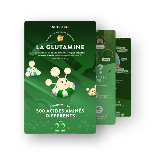 Infographie L-Glutamine