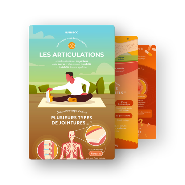 Infographie Glucosamine & Chondroïtine