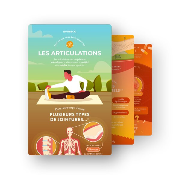 Infographie Glucosamine & Chondroïtine