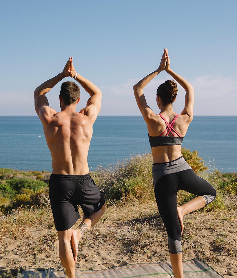 Avis Protéine Végétale