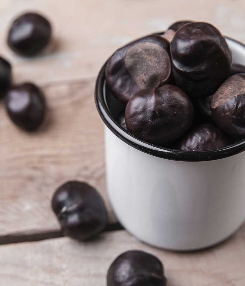 Avis Lactobacillus Gasseri