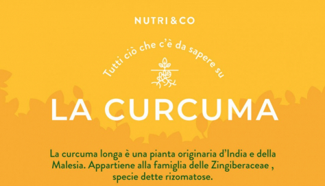 Raccontando la curcuma…