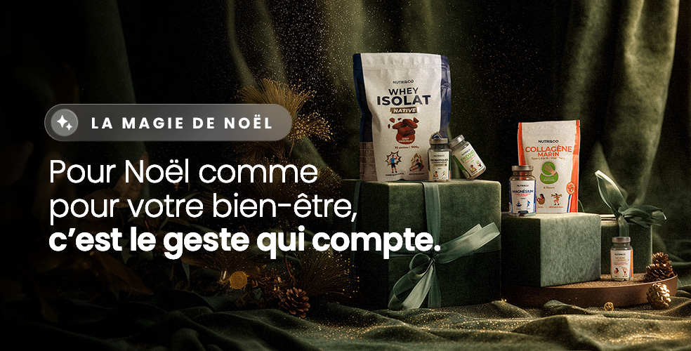 Bannière sélection spéciale Noël