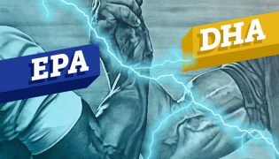 Omega-3 : EPA and DHA, duel at the top of the food chain