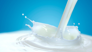 Lactase et lactose : le duo inséparable