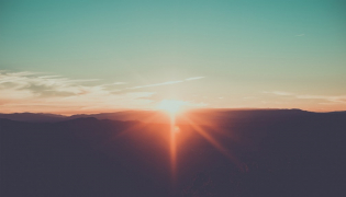 Aliments riches en vitamine D : les meilleures sources