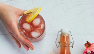 Aliments probiotiques pour l'équilibre intestinal