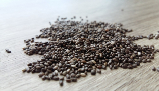 Aliments riches en protéines végétales : parce qu’il n’y a pas que la viande !