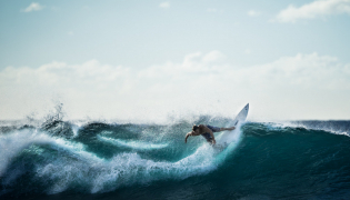 Régime sans viande et pratique sportive, est-ce vraiment (in)compatible ?