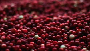 Infections urinaires et solutions naturelles : possible ou pas possible ?