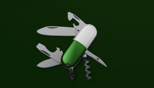 Probiotics : the Swiss army knife for nutraceuticals