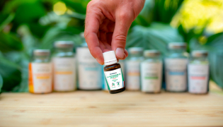 Vitamine D : comment choisir la meilleure formule en Nutra ?