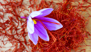 Les bienfaits du safran pour la libido