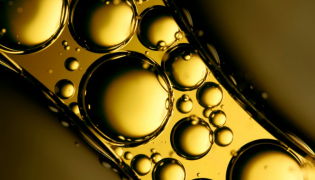 Aliments riches en oméga-3 : lesquels privilégier ?