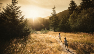 Vitamine D, histoire d'une carence