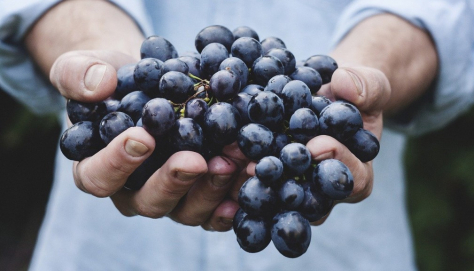 7 idées reçues sur les antioxydants et le vieillissement