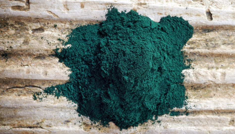 La spiruline Bio existe-t-elle vraiment ?