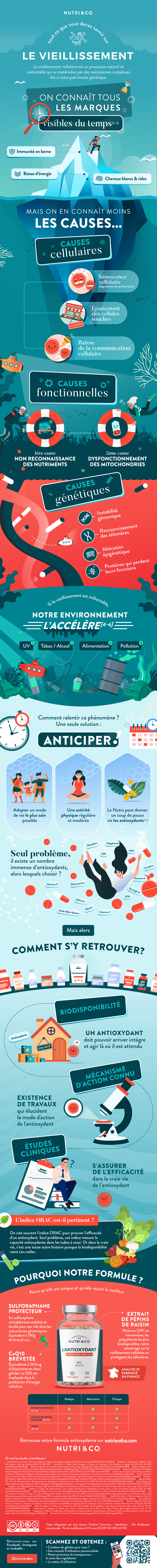 Tout ce que vous devez savoir sur l’Antioxydant