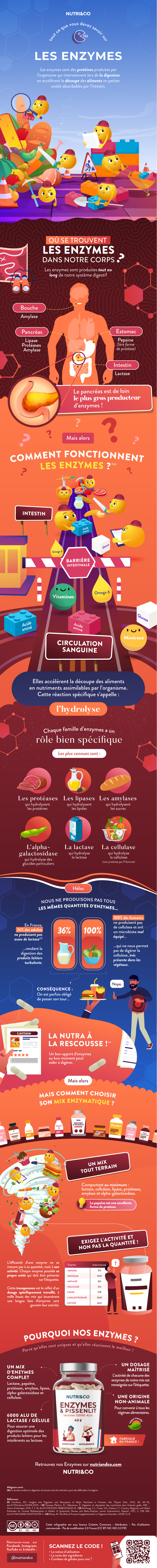 Tout ce que vous devez savoir sur les Enzymes